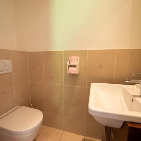 Apartment La Grande Savoyarde *